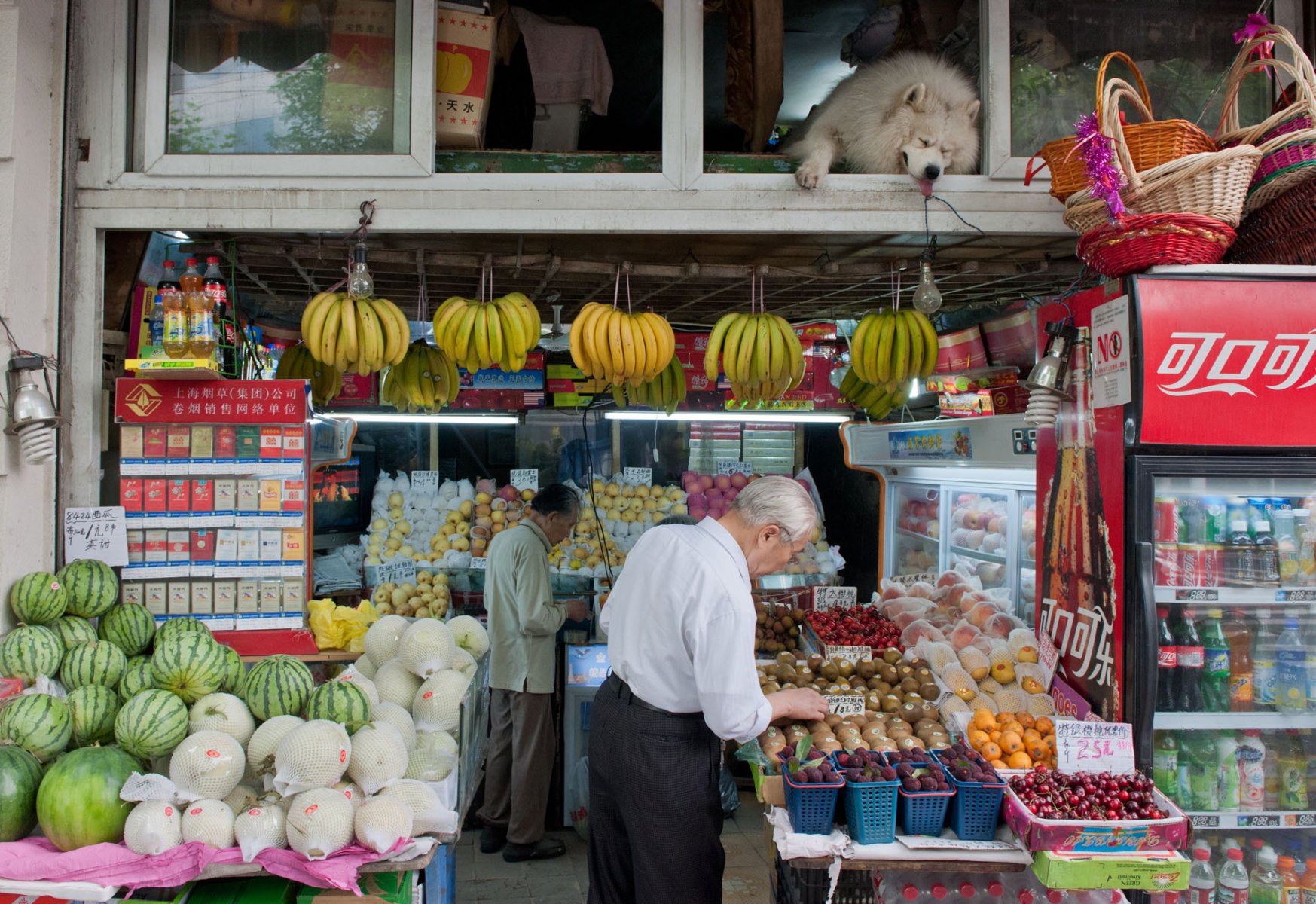 In drückender Hitze hat sich der Hund des Kioskbesitzers im oberen Teil des Lädchens einen Platz zum Dösen erobert. Foto: Boris Roessler