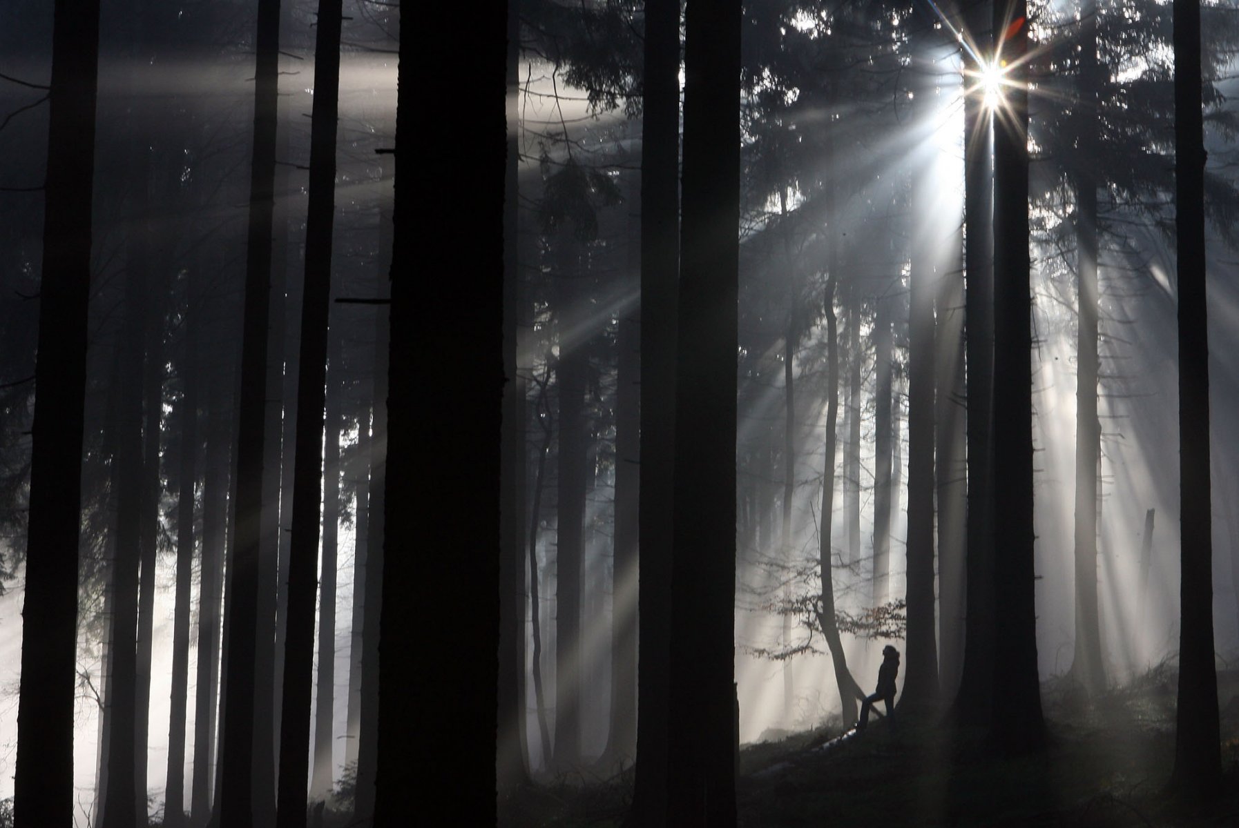 Durch den aufsteigenden Nebel geht ein Wanderer auf dem Feldberg im Taunus. Foto: Boris Roessler/dpa